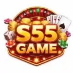 s55 earning game